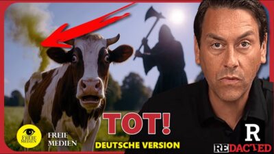 Mehr über den Artikel erfahren Die Kühe fallen tot um! Nach dem „Anti Methan“ Futtermittel Mandat