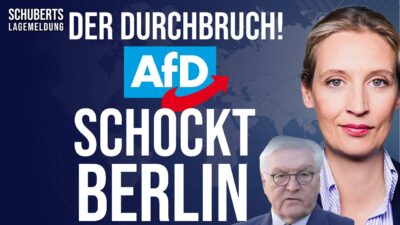 Mehr über den Artikel erfahren Eilt💥Polit-Beben💥DAS ändert ALLES💥AfD-Verbotsverfahren unmöglich!💥DAS ist die entscheidende Wende!