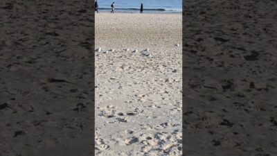 Mehr über den Artikel erfahren Erhebe Dich aus der Masse‼️