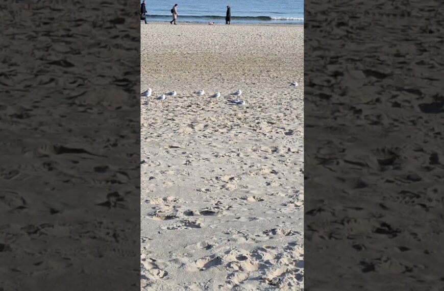 Erhebe Dich aus der Masse‼️