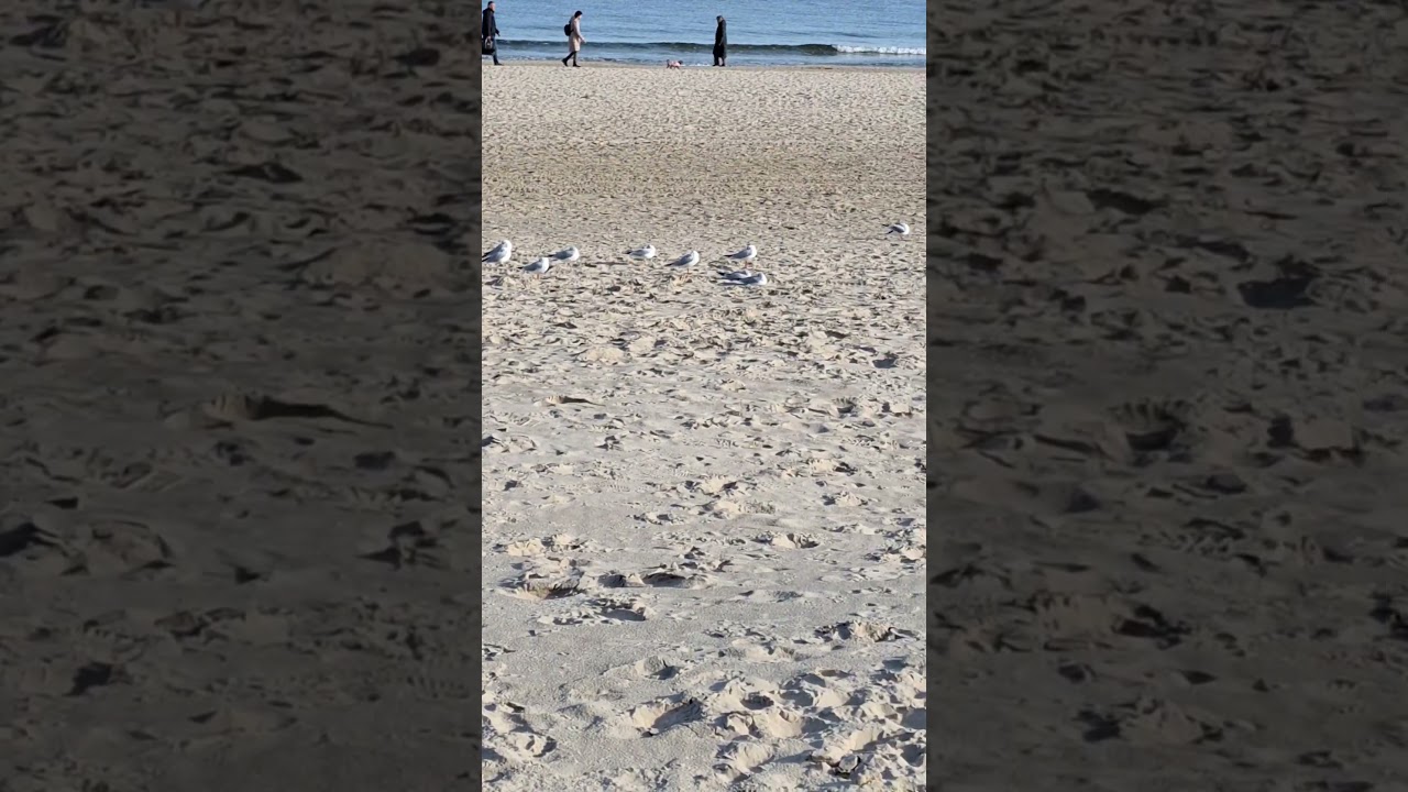 Mehr über den Artikel erfahren Erhebe Dich aus der Masse‼️