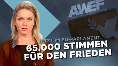 Mehr über den Artikel erfahren Jetzt wird sie gehört – unsere Botschaft im EU-Parlament: Nein zum Krieg