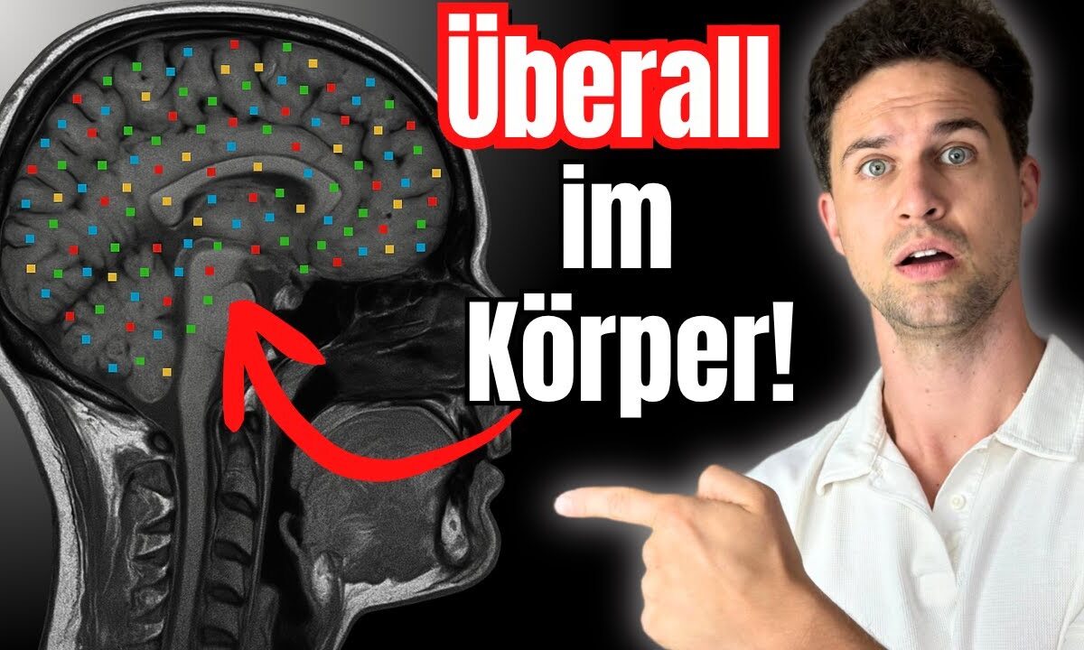 Mikroplastik ÜBERALL im Körper?! Das kannst du JETZT tun!