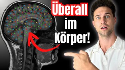 Mehr über den Artikel erfahren Mikroplastik ÜBERALL im Körper?! Das kannst du JETZT tun!