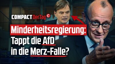 Mehr über den Artikel erfahren Minderheitsregierung: Tappt die AfD in die Merz-Falle?💥