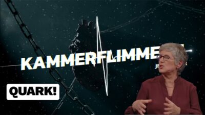 Mehr über den Artikel erfahren No23: Belanglosigkeiten und Quark…