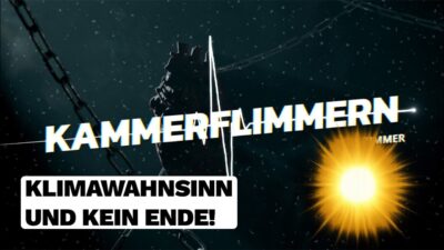 Mehr über den Artikel erfahren No31: Es geht fast nur noch um Blödsinn