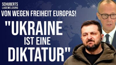 Mehr über den Artikel erfahren Oppositioneller packt aus!💥Schock-Vorwürfe gegen Merz-Regierung!💥Deutsche Medien vertuschen Skandal
