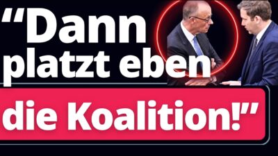 Mehr über den Artikel erfahren Radikal: SPD will Merz Migrationsgesetz aktiv blockieren!