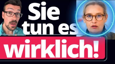 Mehr über den Artikel erfahren SPD will AfD VERBIETEN – aber DAS wird nach hinten losgehen!“