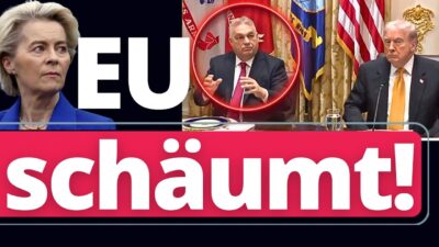 Mehr über den Artikel erfahren Spektakulärer Orban Coup im White House!