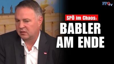 Mehr über den Artikel erfahren System kollabiert: ÖVP und SPÖ ruinieren Österreich! 🤬