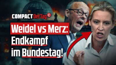 Mehr über den Artikel erfahren Weidel vs. Merz: Endkampf im Bundestag!💥