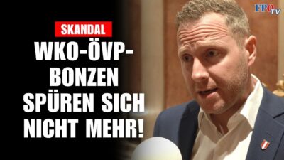 Mehr über den Artikel erfahren WKO-ÖVP-BONZEN spüren sich nicht mehr!