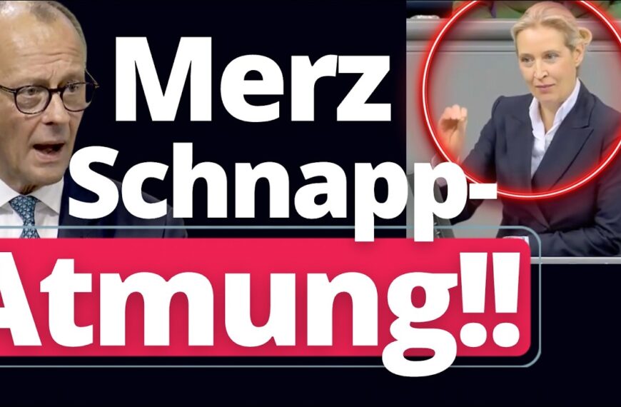 Wumms: Alice Weidel lässt die gesamte CDU hochgehen!