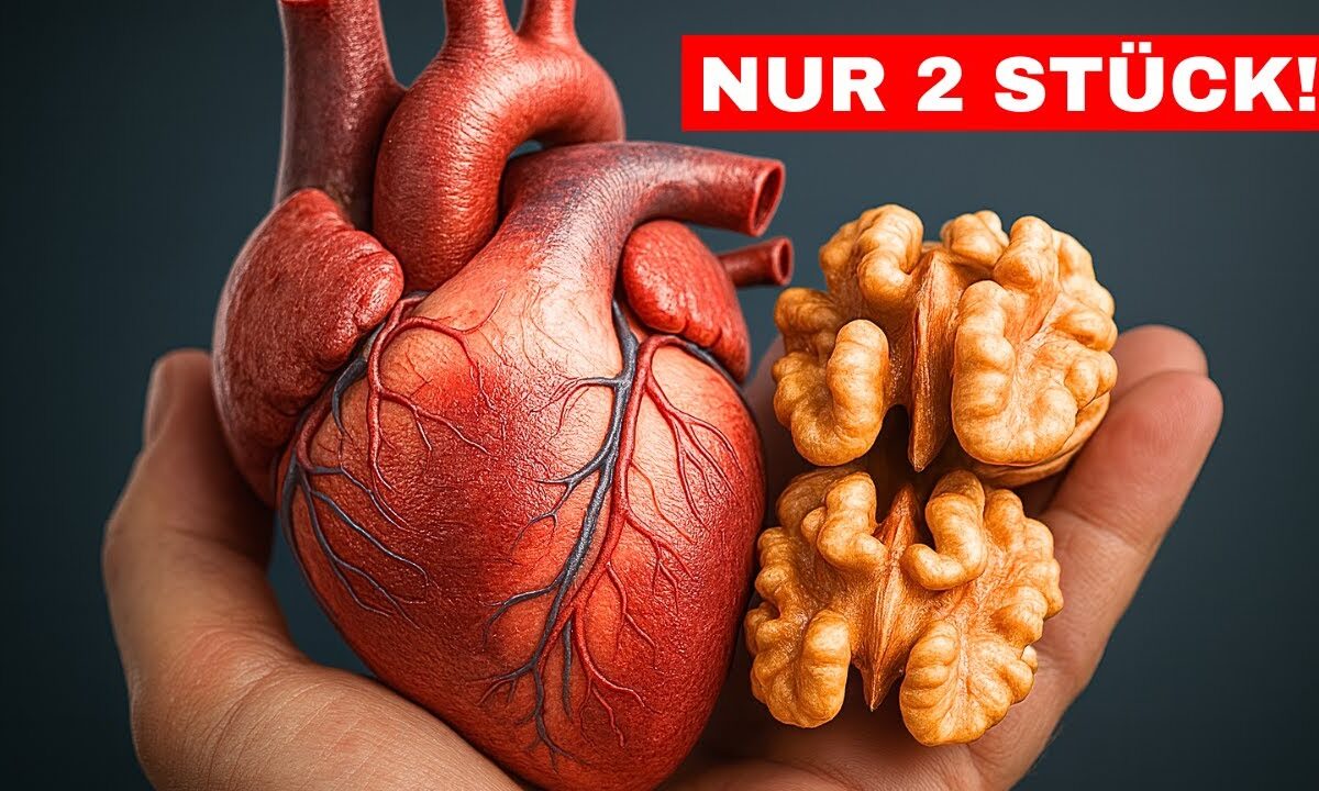 Das unglaubliche passiert mit deinem Körper wenn du TÄGLICH Walnüsse isst!