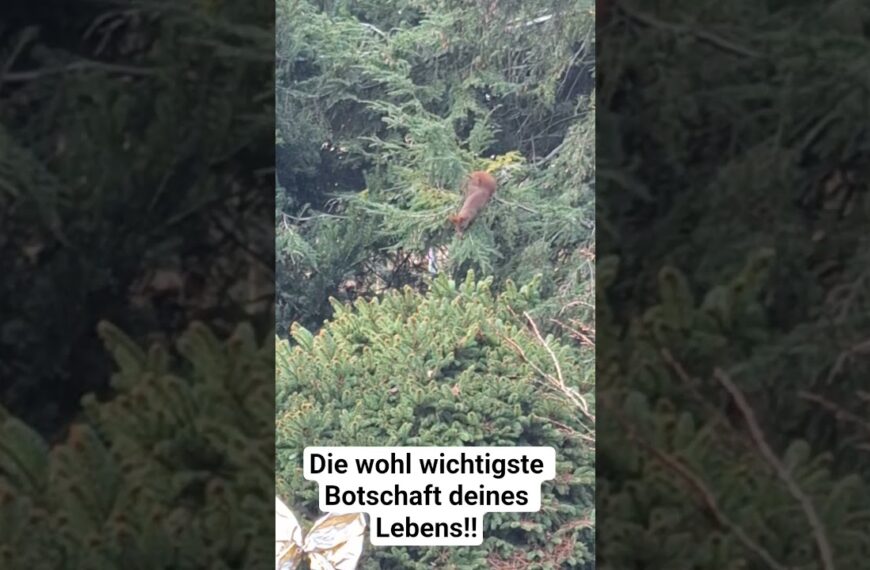 Die wohl wichtigste Botschaft deines Lebens‼️