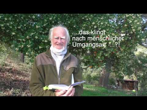 Marcel Züger 2025: „Mensch Wolf“- ein Buch – und mehr als nur für die Alpen!