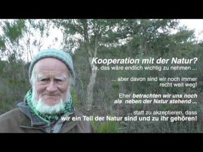 Mehr über den Artikel erfahren Schalenwild-Wald-Problem* – Gedanken zu einer ökologischen Mensch-Forst-Beziehung