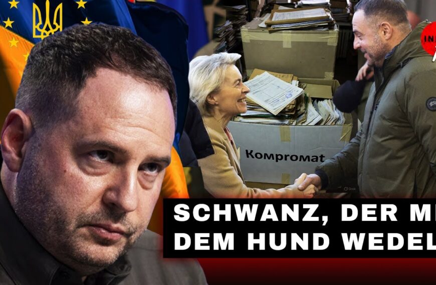 Schwanz, der mit dem Hund wedelt