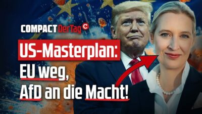 Mehr über den Artikel erfahren US-Masterplan: EU weg, AfD an die Macht!💥