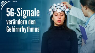 Mehr über den Artikel erfahren Wie 5G-Signale den Gehirnrhythmus verändern
