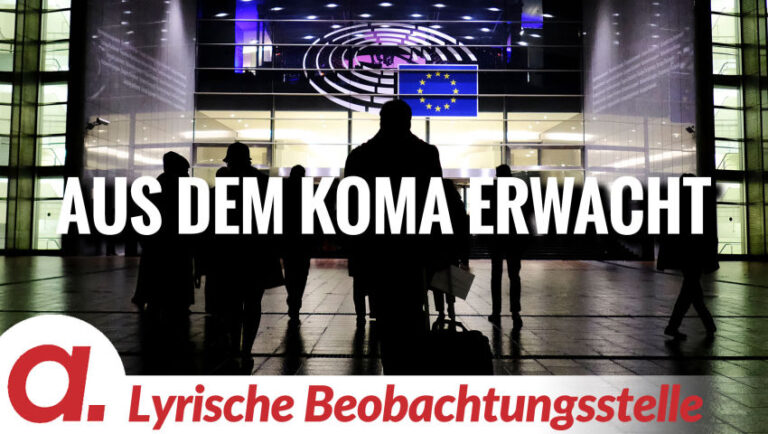 Mehr über den Artikel erfahren Aus dem Koma erwacht | Von Anna Zollner