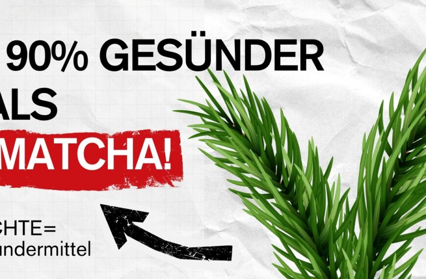 192% gesünder als Matcha | Die Wahrheit über Fichte die Ärzte versuchen zu verschweigen !