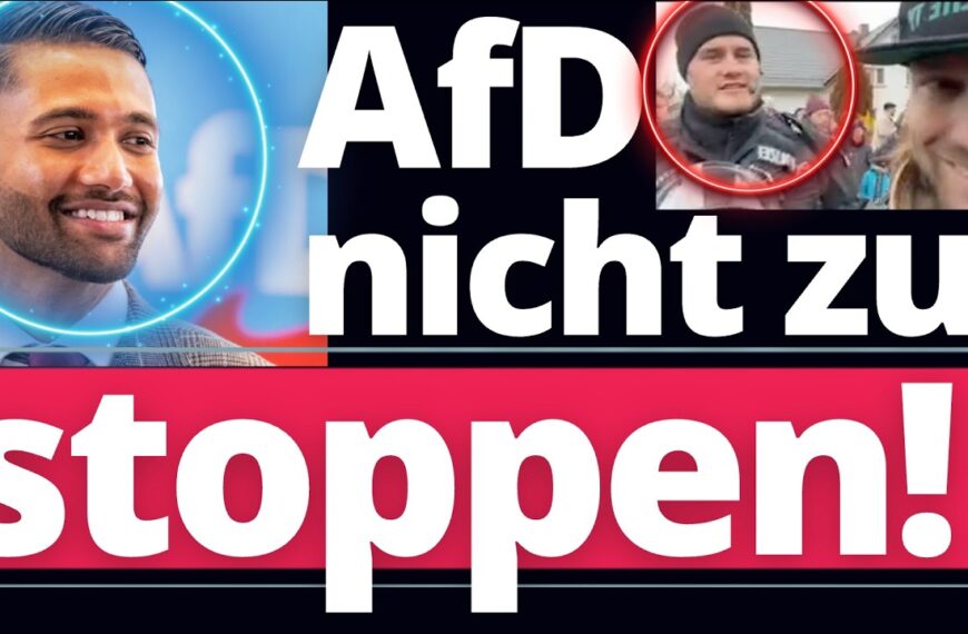 AfD Sensation: Rasendes Wachstum überall! Sie sind nicht zu stoppen!