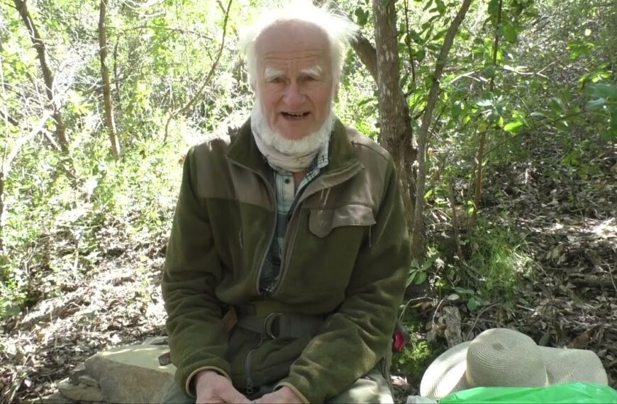 Buchbetrachtung zu Osho „Intuition“