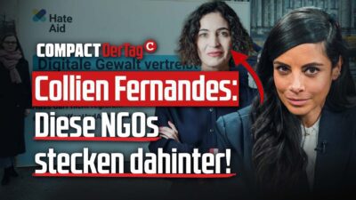 Mehr über den Artikel erfahren Collien Fernandes: Diese NGOs stecken dahinter!💥