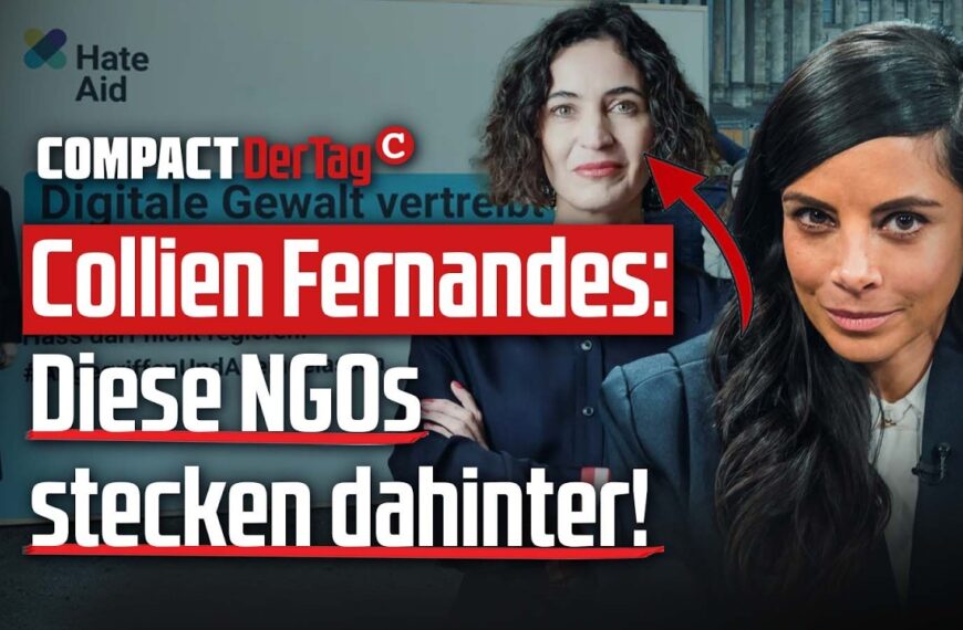 Collien Fernandes: Diese NGOs stecken dahinter!💥