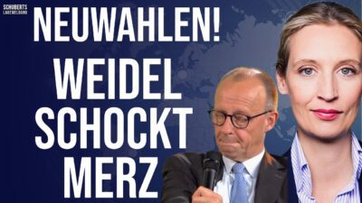 Mehr über den Artikel erfahren DAMIT haben sie nicht gerechnet!💥Panik bei Merz-Regierung!💥AfD-Erfolge gegen das Polit-Kartell
