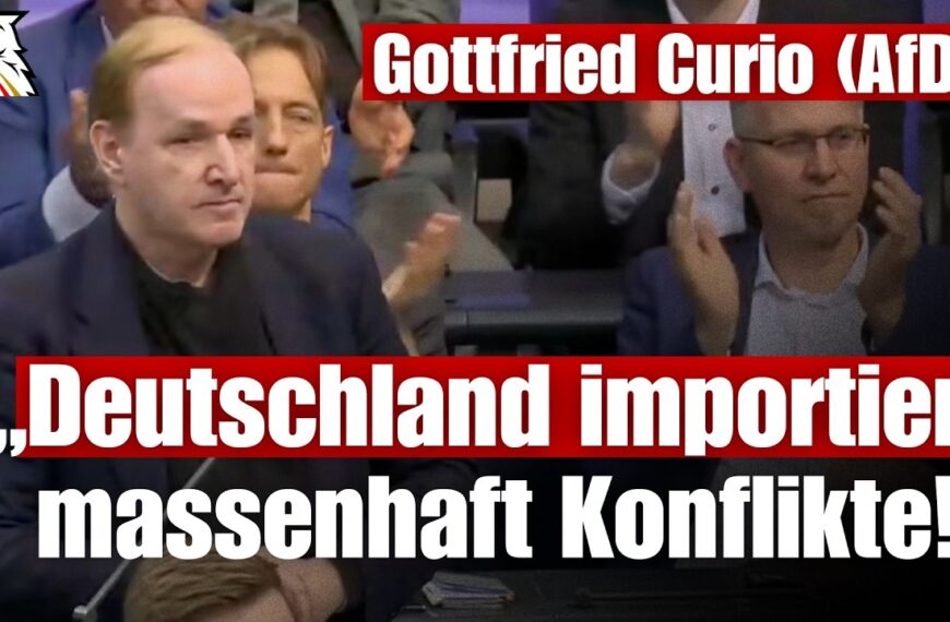 „Deutschland importiert massenhaft Konflikte!“ | Gottfried Curio (MdB | AfD-Berlin)