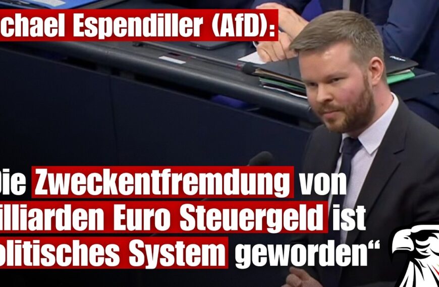 „Die Zweckentfremdung von Milliarden Euro Steuergeld ist politisches System geworden“