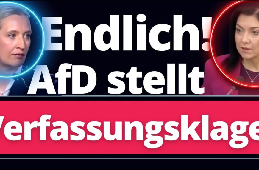 Endlich: AfD stellt Verfassungsklage! Regierung außer sich!