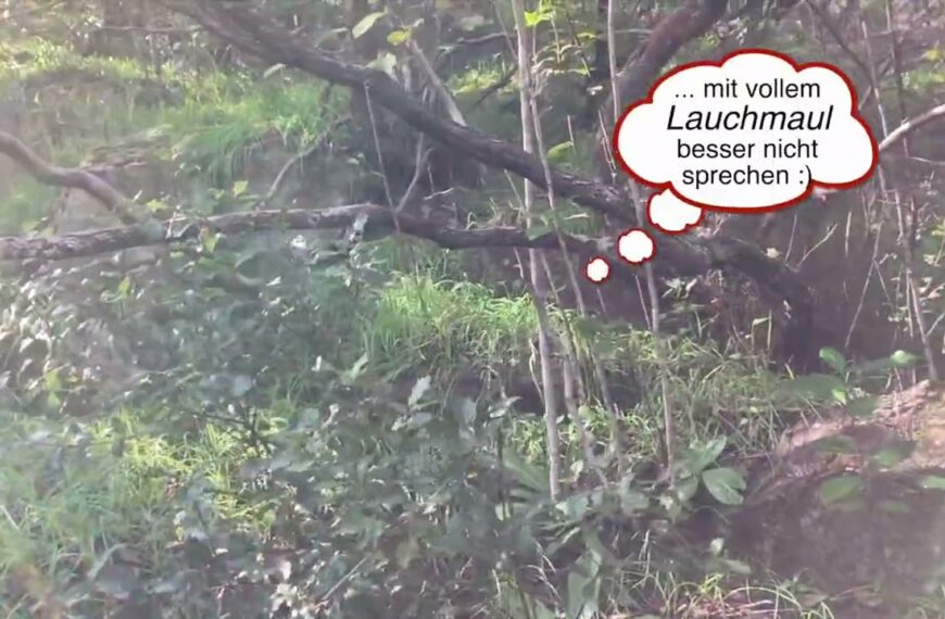 Haliotis-Naturkunde im Alentejo: Wir suchen das Segelboot – Abenteuerwanderung zum See