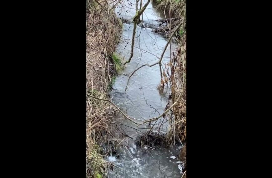Im Kleinen wie im Großen – Gewässer fließen stufig! – Ein Kürzel zu Fluss und Aue