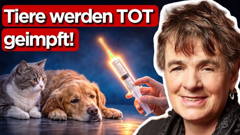 Mehr über den Artikel erfahren Krebs bei Haustieren explodiert: Tierärztin enthüllt, warum