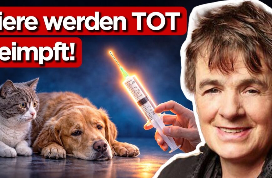 Krebs bei Haustieren explodiert: Tierärztin enthüllt, warum