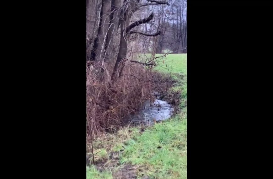 Natur ? _ ! Gab es jemals ein Gleichgewicht?