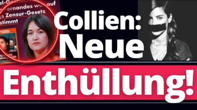 Mehr über den Artikel erfahren Spiegel-Journalistin rutscht die Wahrheit raus: „Collien-Story war auf Hubig-Gesetz abgestimmt!“