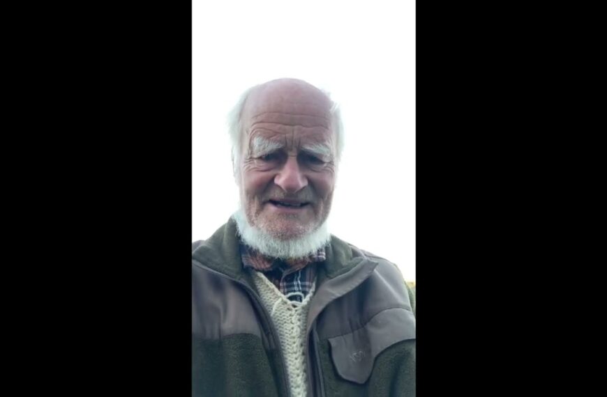 Über Birke, Birkensaft und Fußstellung