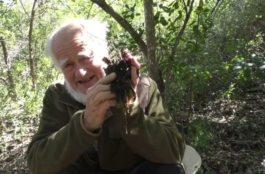 Über Kohlenstoffspeicher, Biber und Kohlendioxid: Gehts bitte endlich lebendiger?!