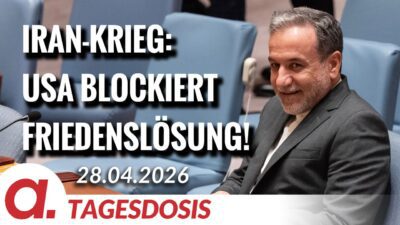 Mehr über den Artikel erfahren Krieg, Politik und der Preis des Gehorsams | Von Claudia Töpper