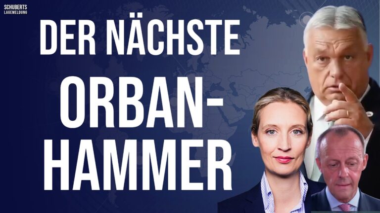 Mehr über den Artikel erfahren Aufstand gegen Brüssel weitet sich aus!💥Weidel verpasst Merz eine Klatsche💥Blamage für die Grünen