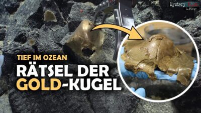 Mehr über den Artikel erfahren Biologisches USO: „Der seltsamer Fall der goldenen Kugel“ vom Grund des Pazifik – GELÖST