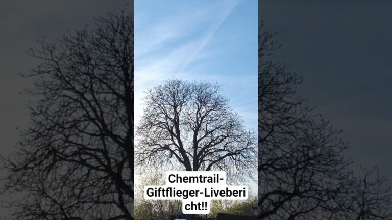 Mehr über den Artikel erfahren Chemtrail-Giftflieger-Livebericht‼️