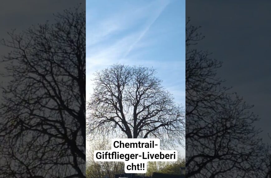 Chemtrail-Giftflieger-Livebericht‼️