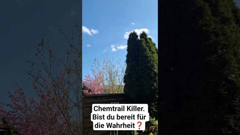 Mehr über den Artikel erfahren Chemtrail Killer. Bist du bereit für die Wahrheit❓